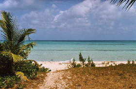 Beach-View